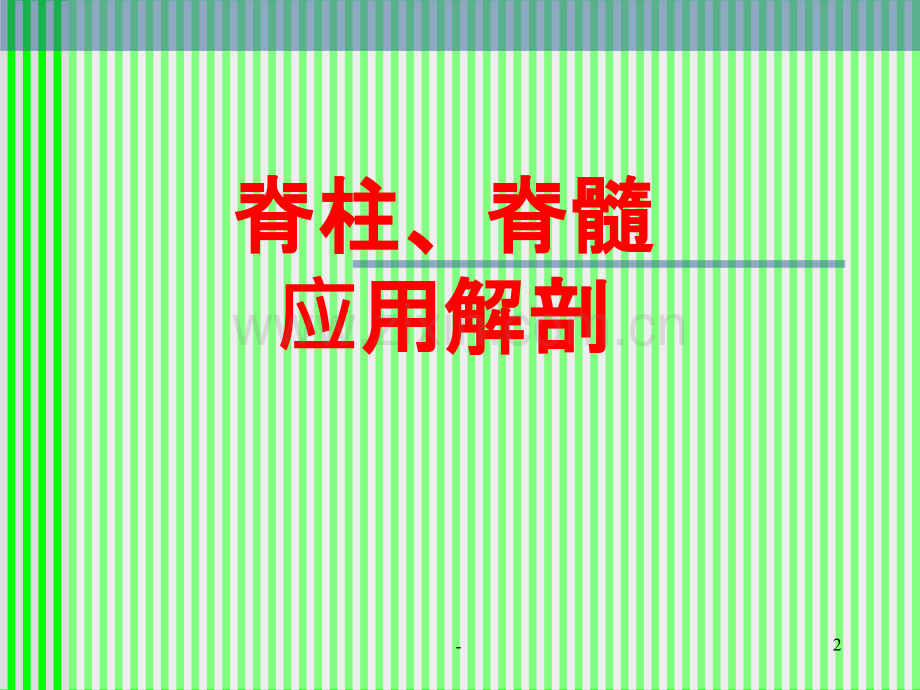 脊柱解剖图(颈胸腰椎)第一部分.ppt_第2页
