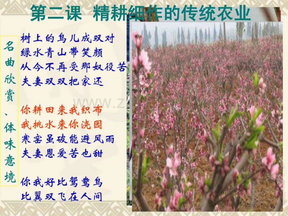 精耕细作传统农业必修.pptx_第1页