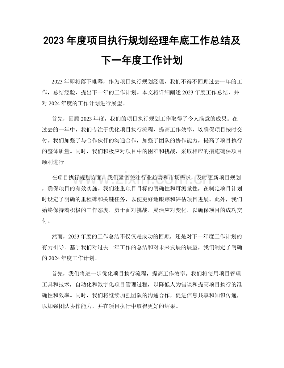 2023年度项目执行规划经理年底工作总结及下一年度工作计划.docx_第1页
