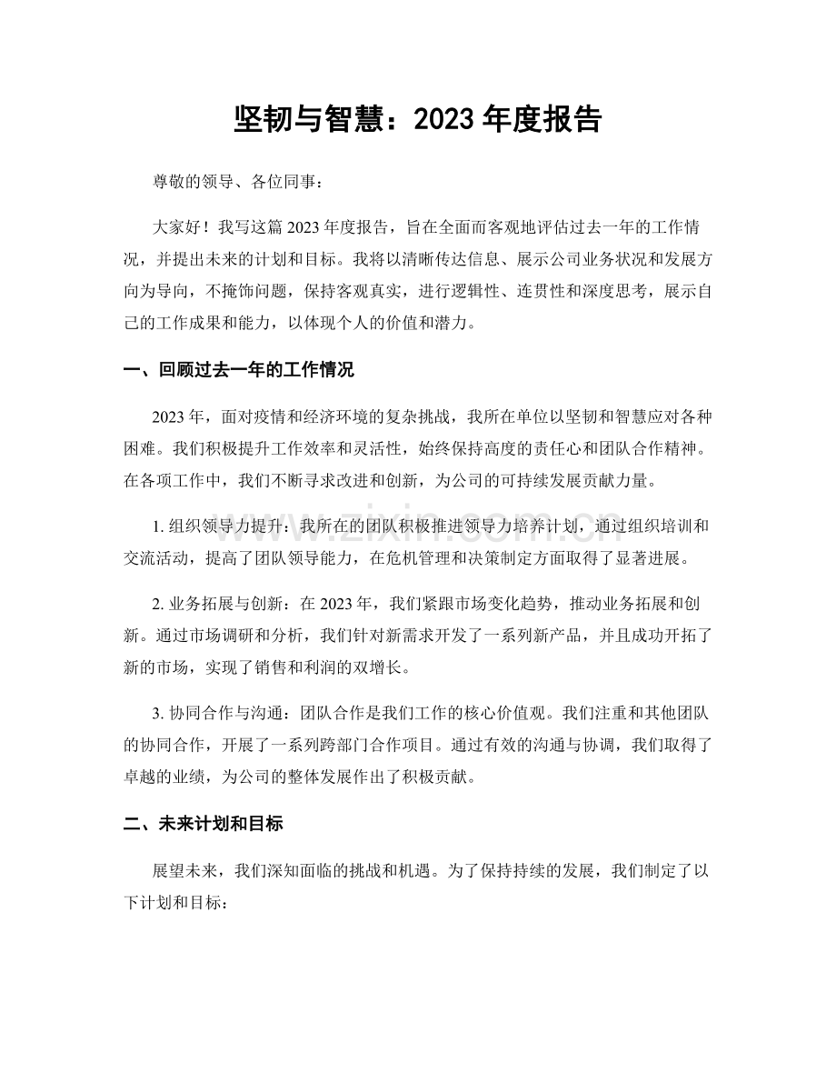 坚韧与智慧：2023年度报告.docx_第1页