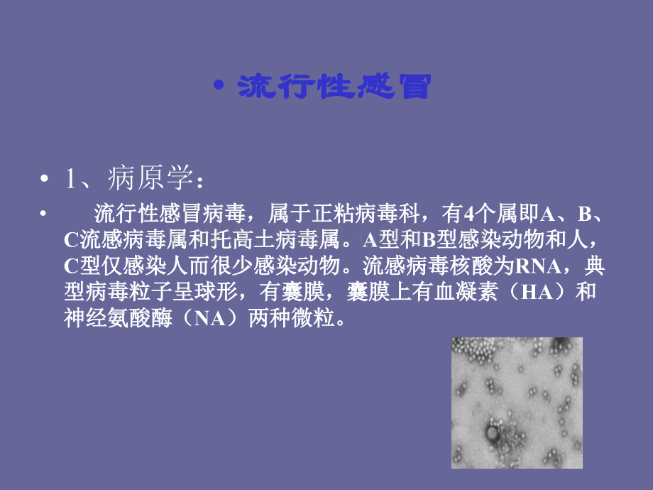 流行性感冒病原学-流行性感冒病毒属于正粘病毒科.ppt_第1页