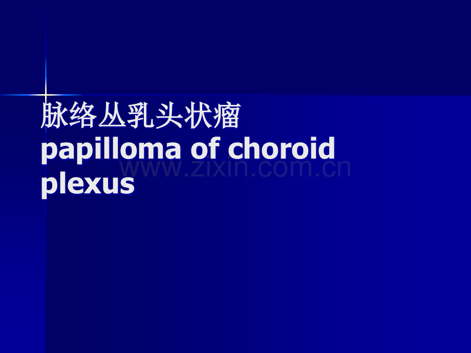 脉络丛乳头状.ppt_第1页