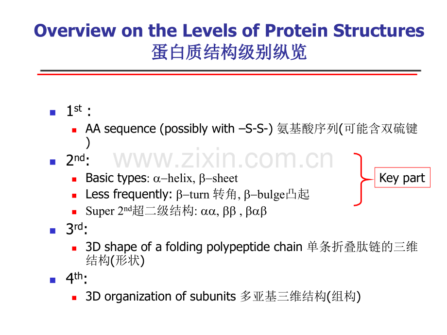 中南大学生物化学考研蛋白质二级三级和四级结构ch6Proteins06.pptx_第2页