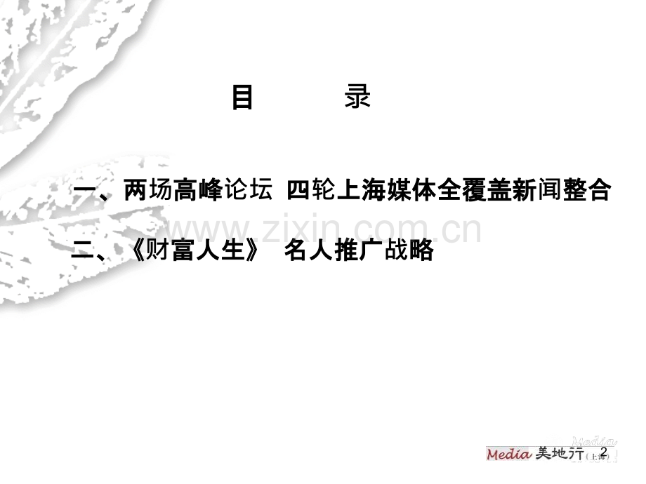 美地行豪宅策划案例——白金湾-.ppt_第2页