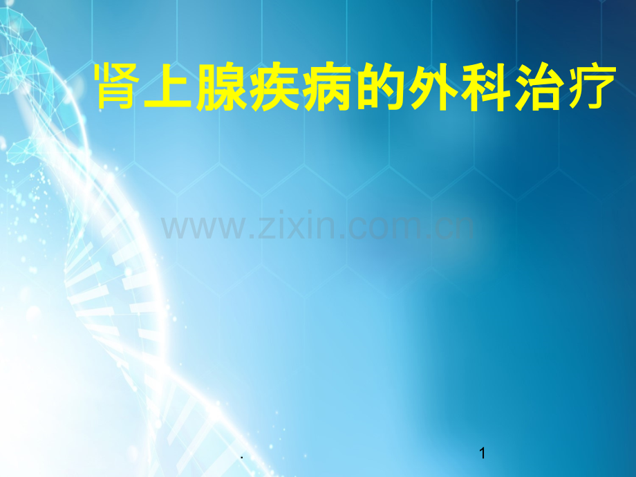 肾上腺疾病的外科治疗.ppt_第1页