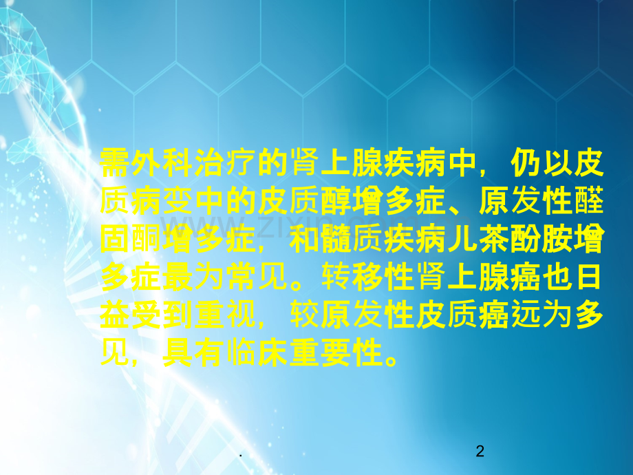 肾上腺疾病的外科治疗.ppt_第2页