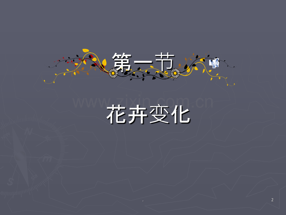 花卉与纹样上课自己整理.ppt_第2页