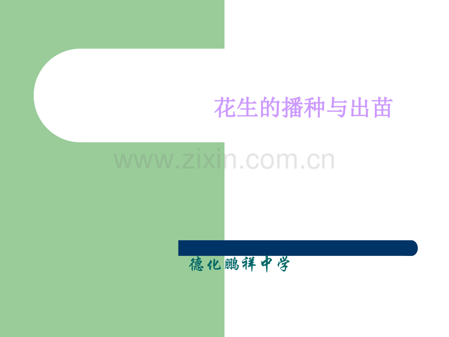 花生的播种与出苗.ppt_第1页