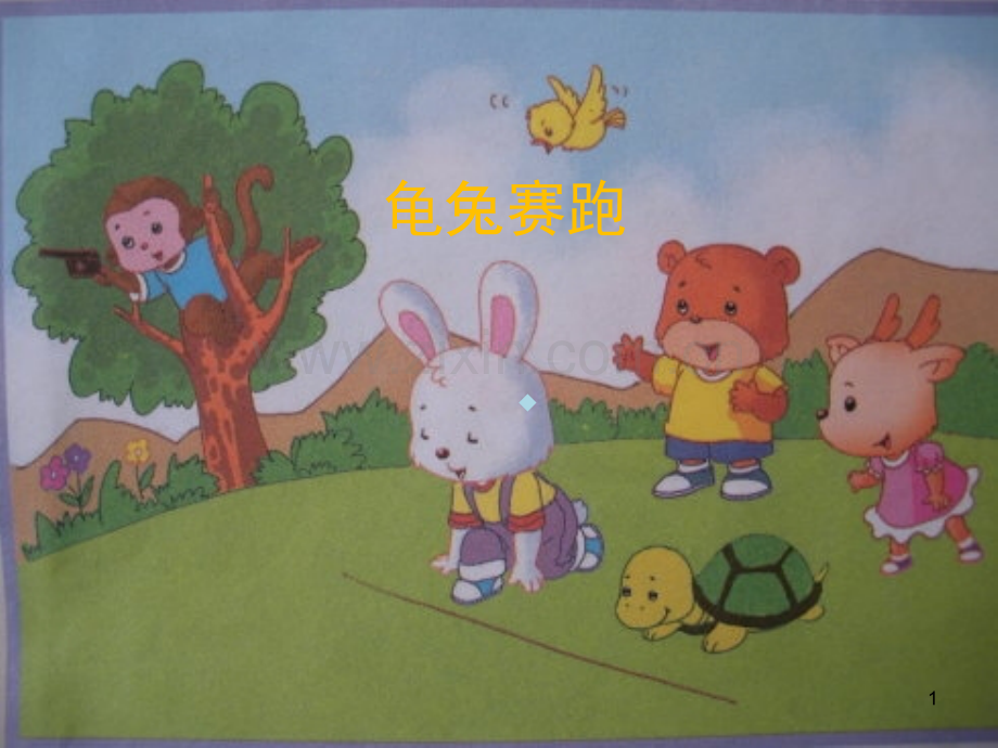 看图写话：龟兔赛跑.ppt_第1页