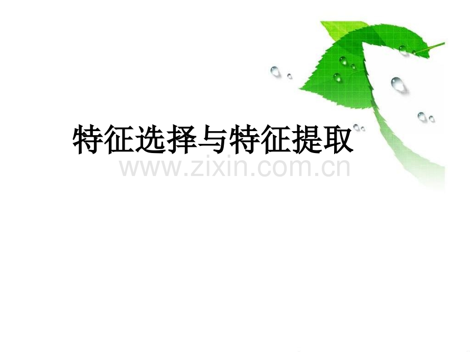 模式识别之特征选择与提取.ppt_第1页