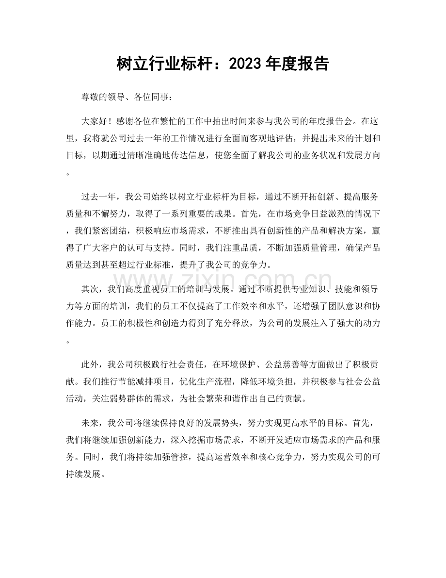 树立行业标杆：2023年度报告.docx_第1页