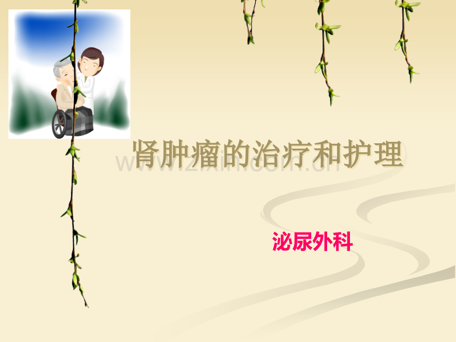肾肿瘤的治疗与护理.ppt_第1页