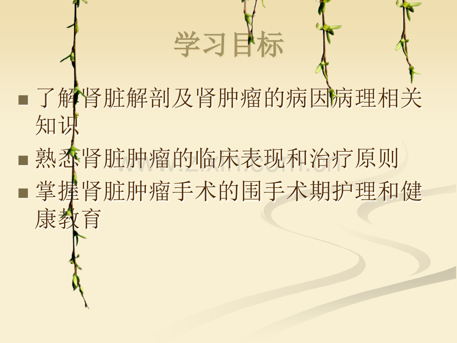 肾肿瘤的治疗与护理.ppt_第2页