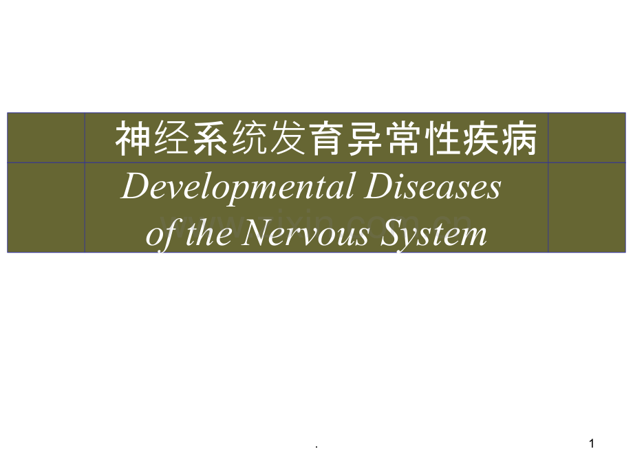 神经系统发育异常性疾病.ppt_第1页