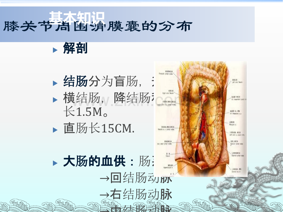 结肠直肠癌-临床技能.ppt_第2页