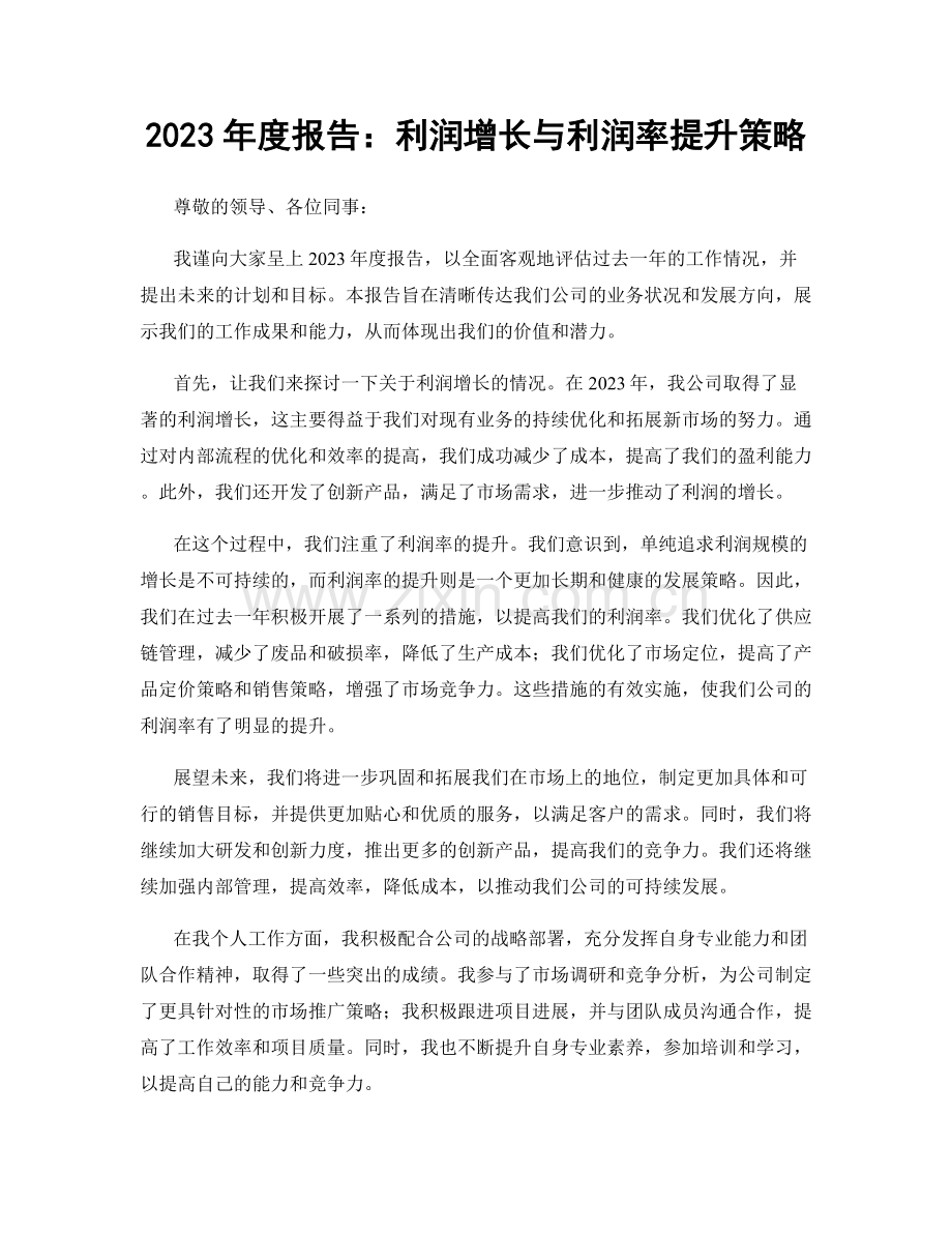 2023年度报告：利润增长与利润率提升策略.docx_第1页