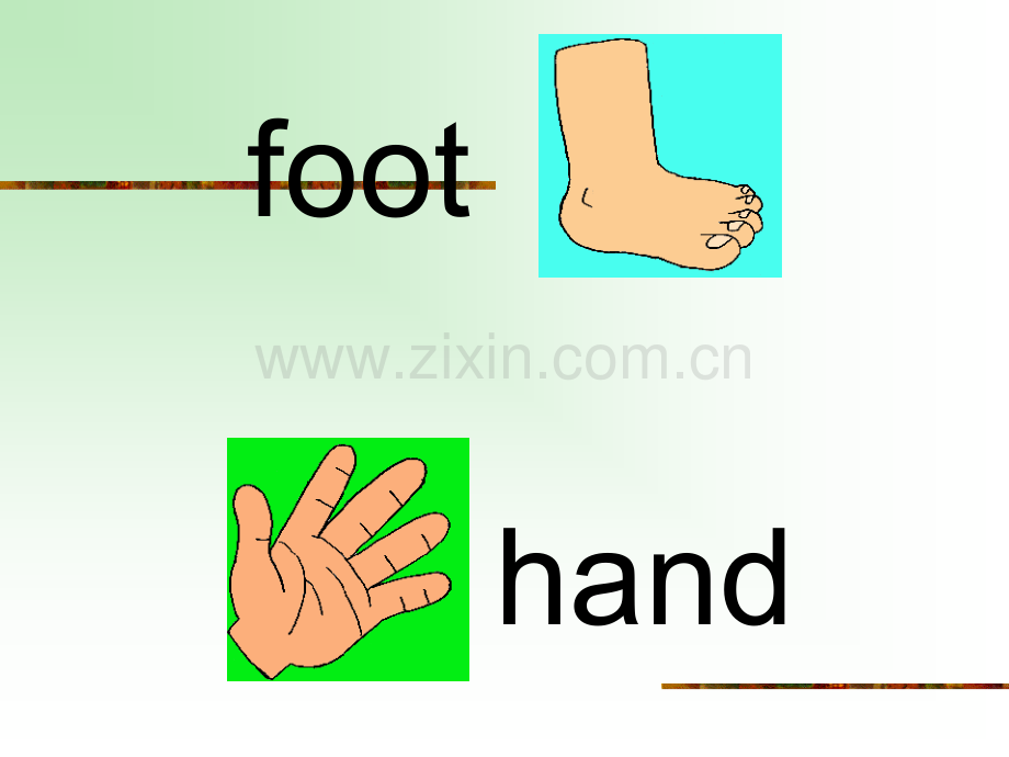 身体部位ppt.ppt_第2页