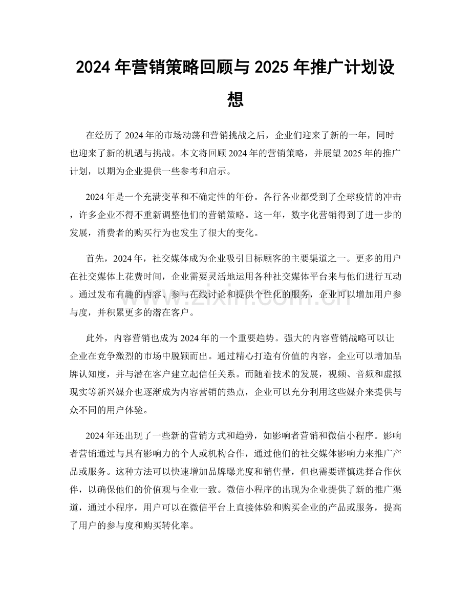 2024年营销策略回顾与2025年推广计划设想.docx_第1页