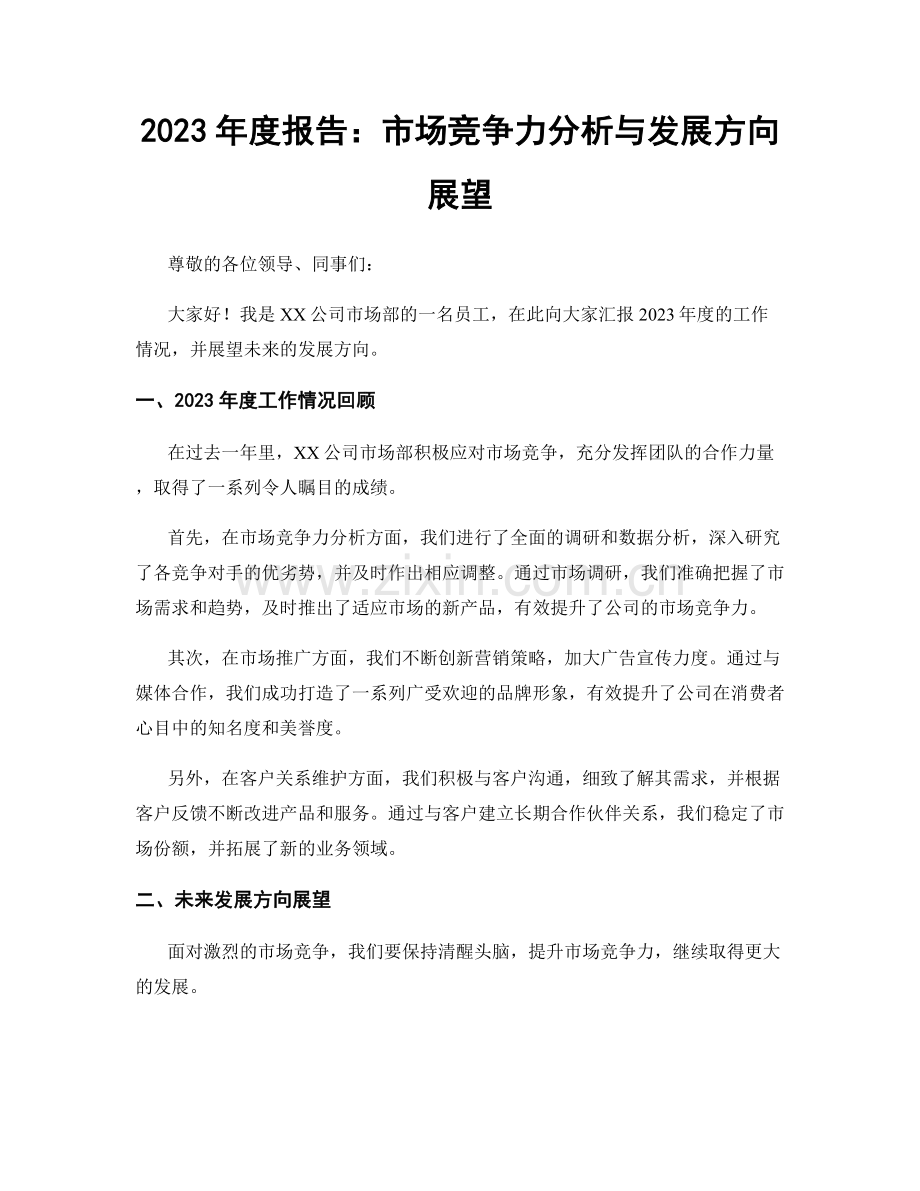 2023年度报告：市场竞争力分析与发展方向展望.docx_第1页