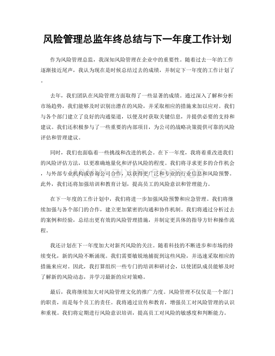 风险管理总监年终总结与下一年度工作计划.docx_第1页