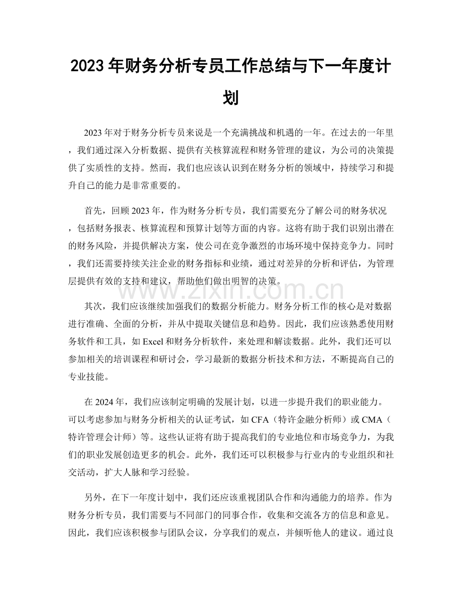 2023年财务分析专员工作总结与下一年度计划.docx_第1页