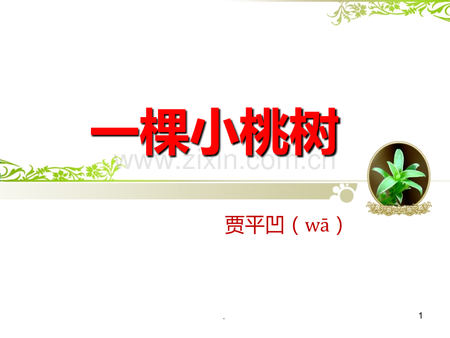 棵小桃树-贾平凹.ppt_第1页