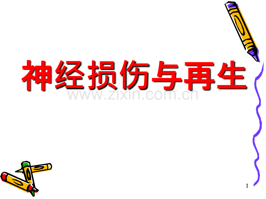 神经损伤与再生.ppt_第1页