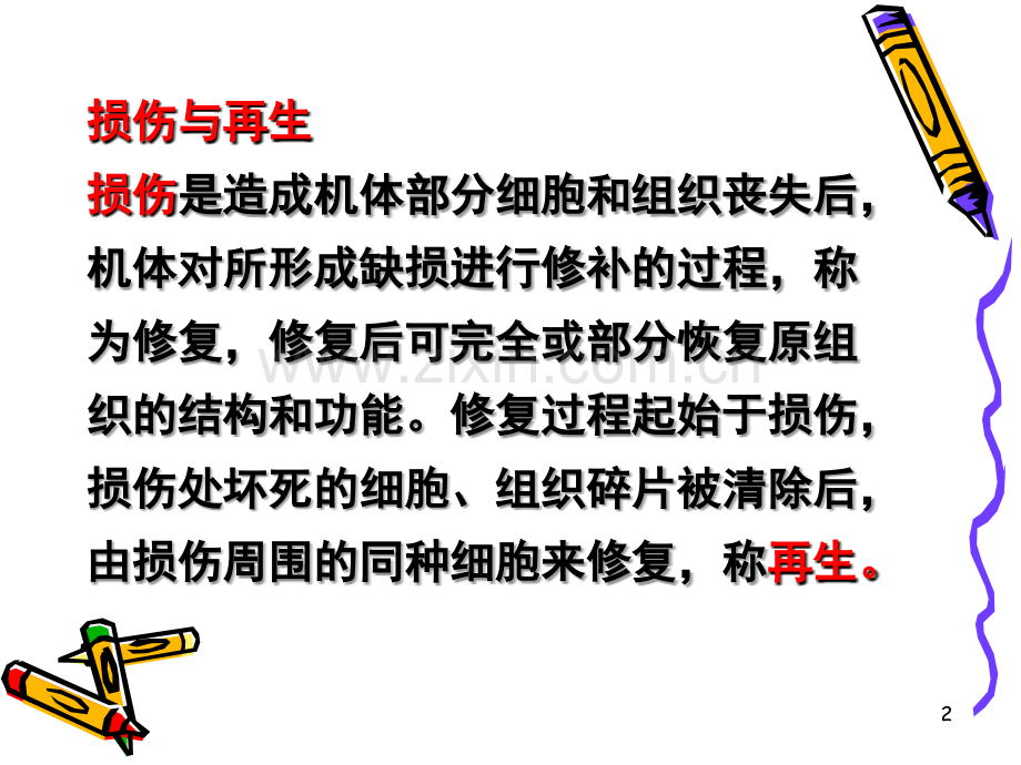 神经损伤与再生.ppt_第2页