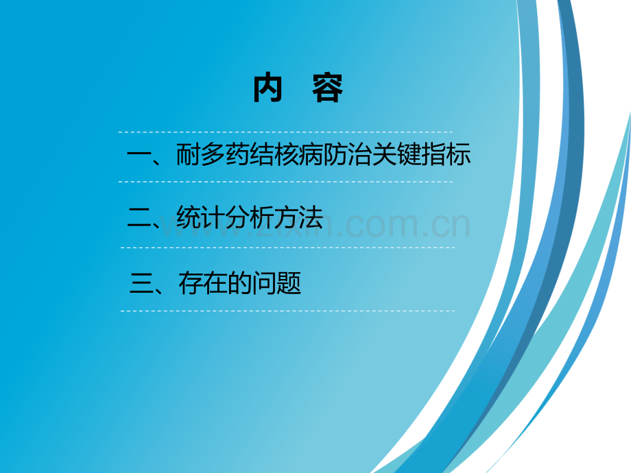耐多药肺结核防治关键指标统计分析ppt课件.ppt_第2页