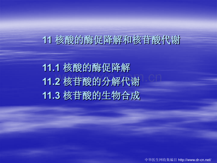 核酸的酶促降解和核苷酸代谢ppt课件.ppt_第1页