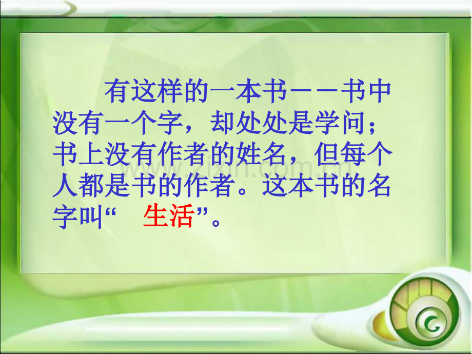 珍珠鸟虞大明.pptx_第1页