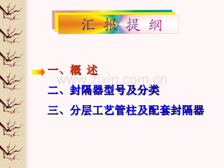 封隔器及分层工艺管柱简介.pptx_第2页