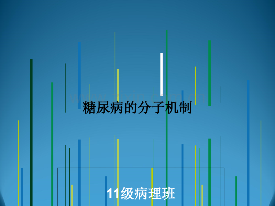 糖尿病的分子机制.ppt_第1页