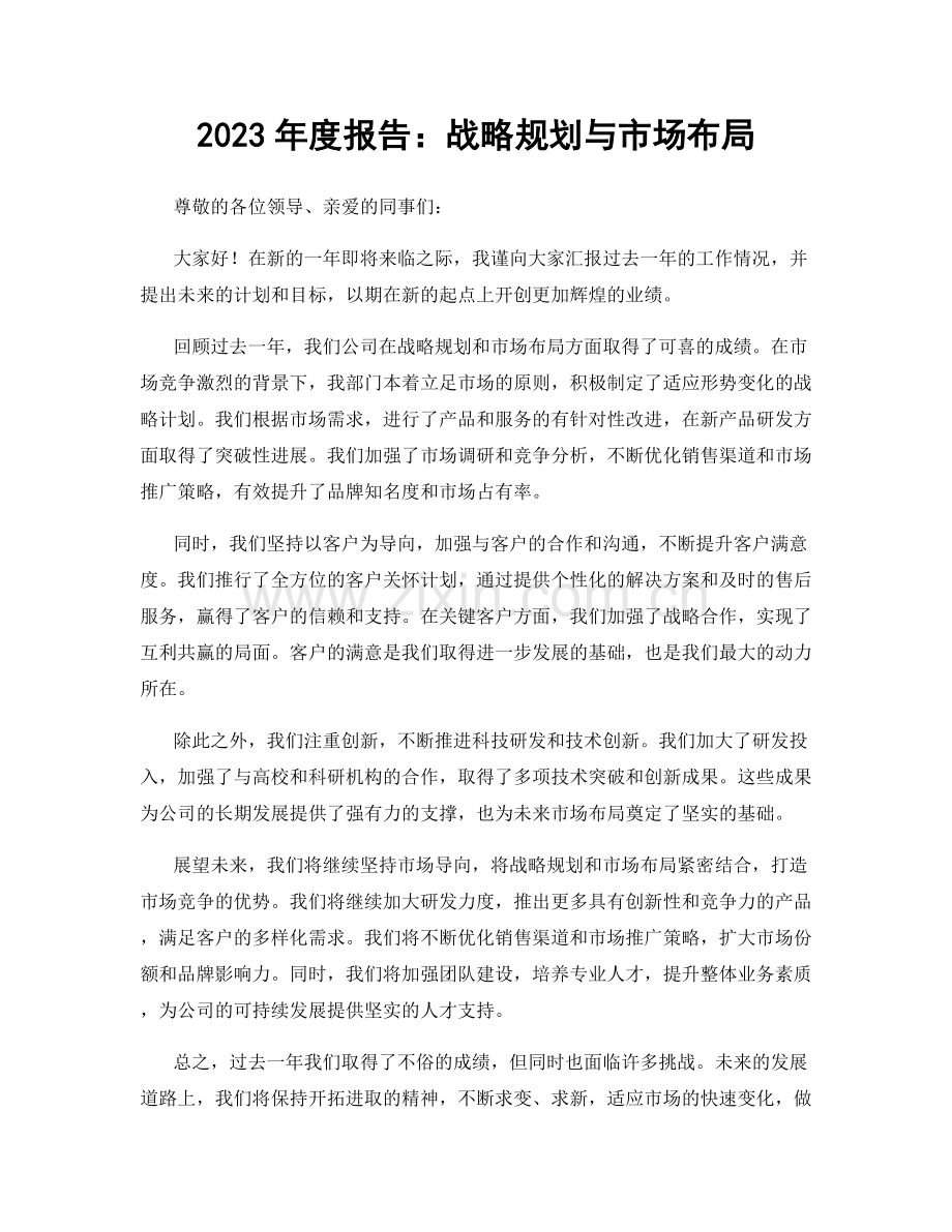 2023年度报告：战略规划与市场布局.docx_第1页