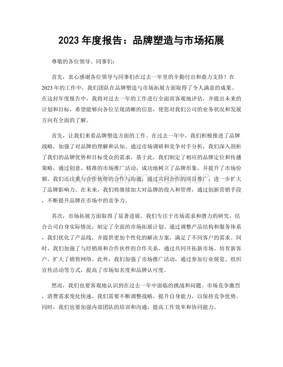 2023年度报告：品牌塑造与市场拓展.docx_第1页
