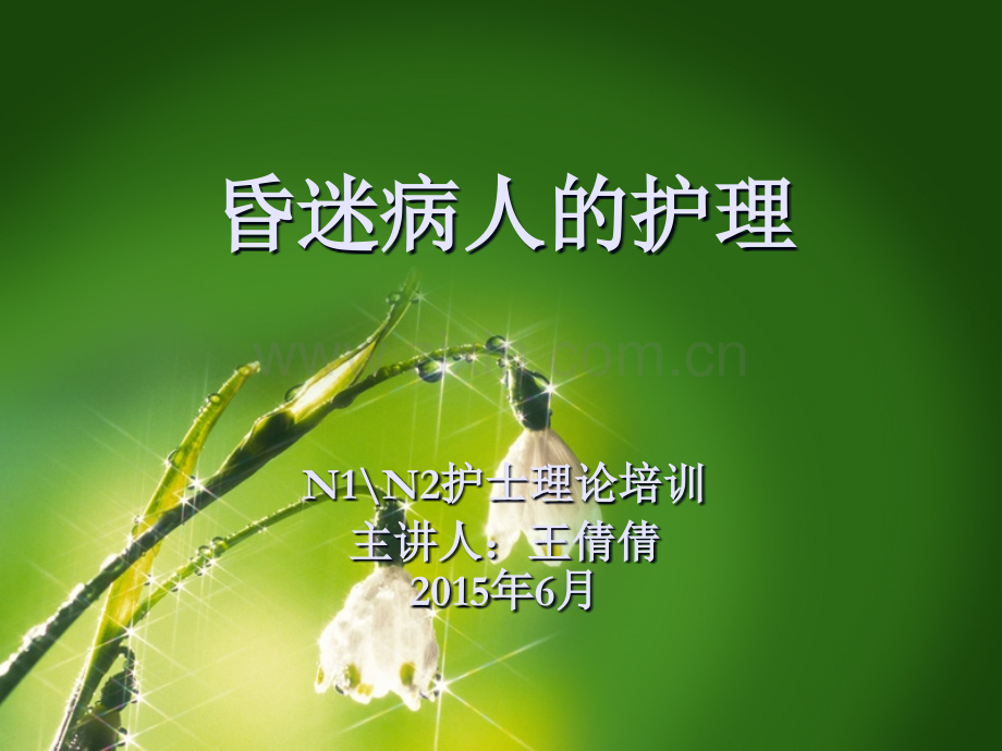 昏迷病人的护理-.ppt_第1页