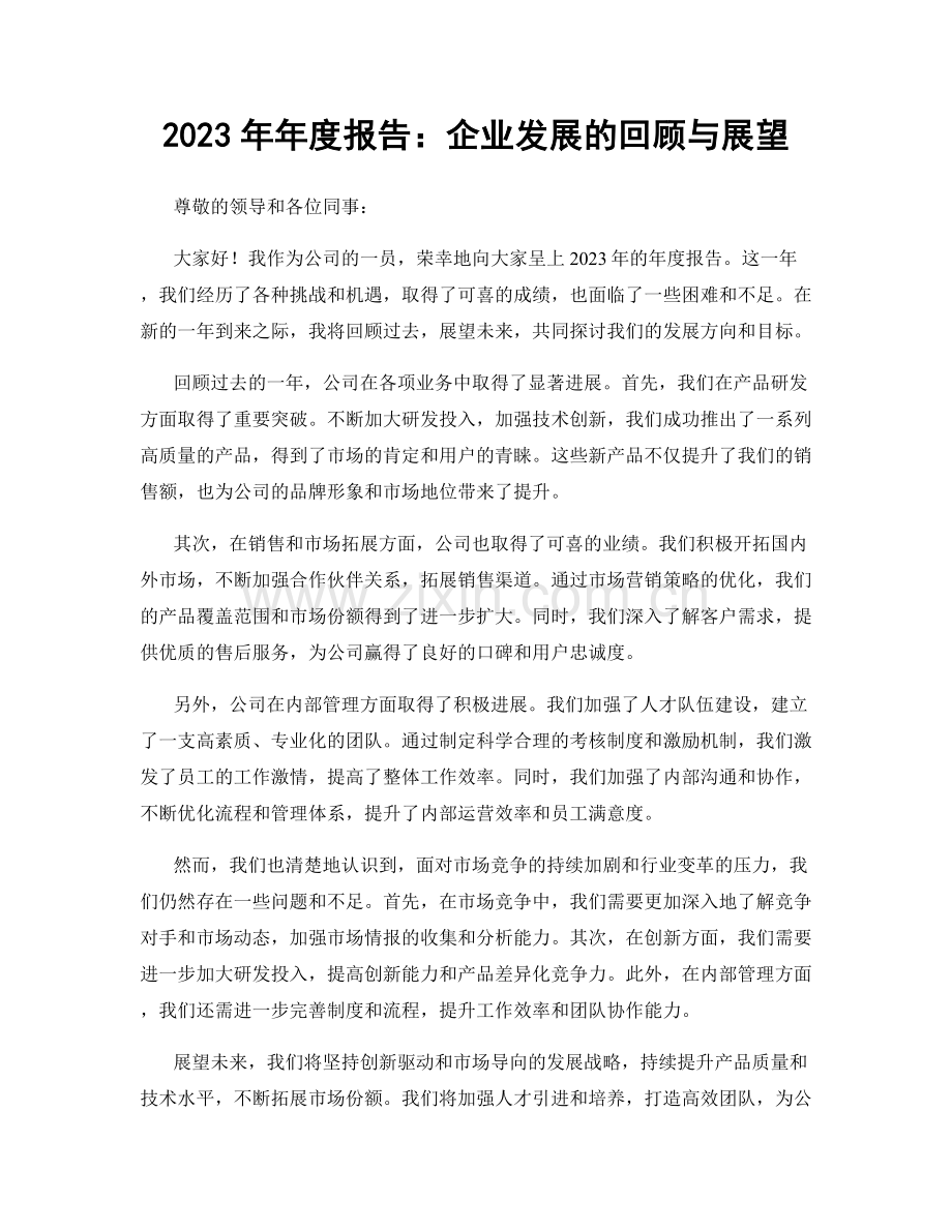 2023年年度报告：企业发展的回顾与展望.docx_第1页