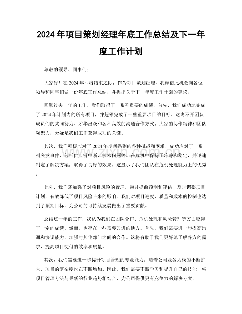 2024年项目策划经理年底工作总结及下一年度工作计划.docx_第1页