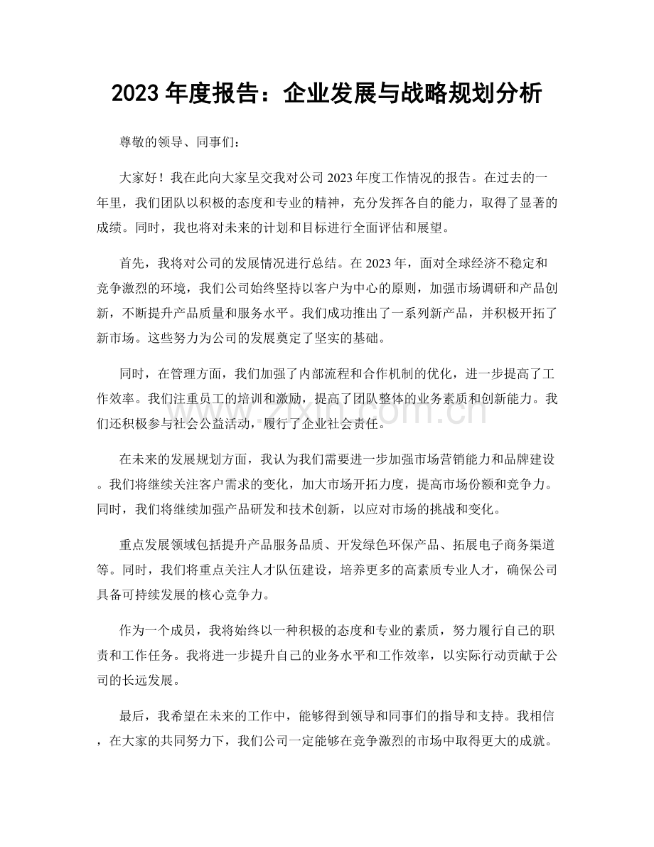 2023年度报告：企业发展与战略规划分析.docx_第1页