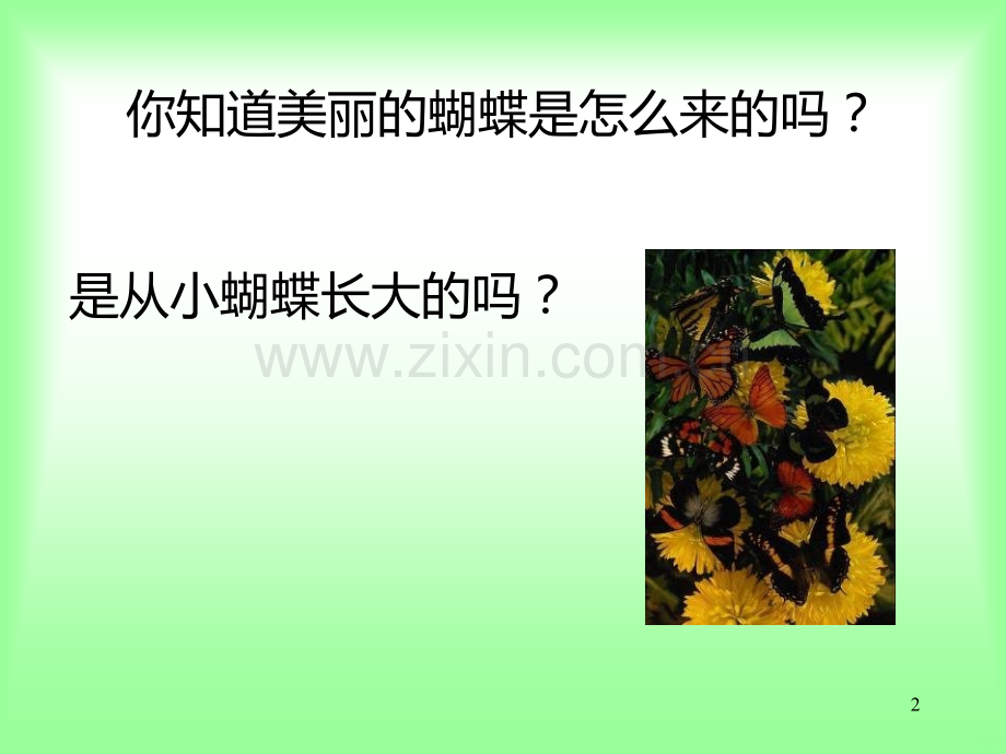 蝗虫的生殖和发育.ppt_第2页