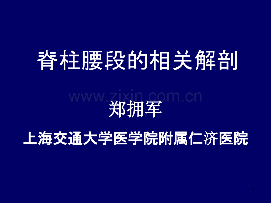 脊柱腰段的相关解剖.ppt_第1页