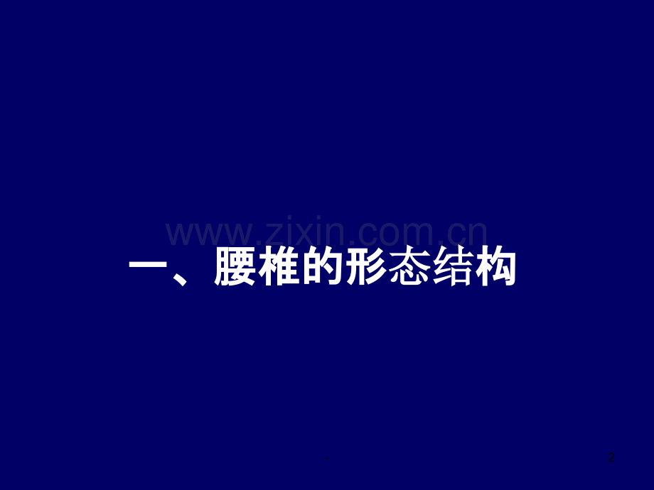 脊柱腰段的相关解剖.ppt_第2页