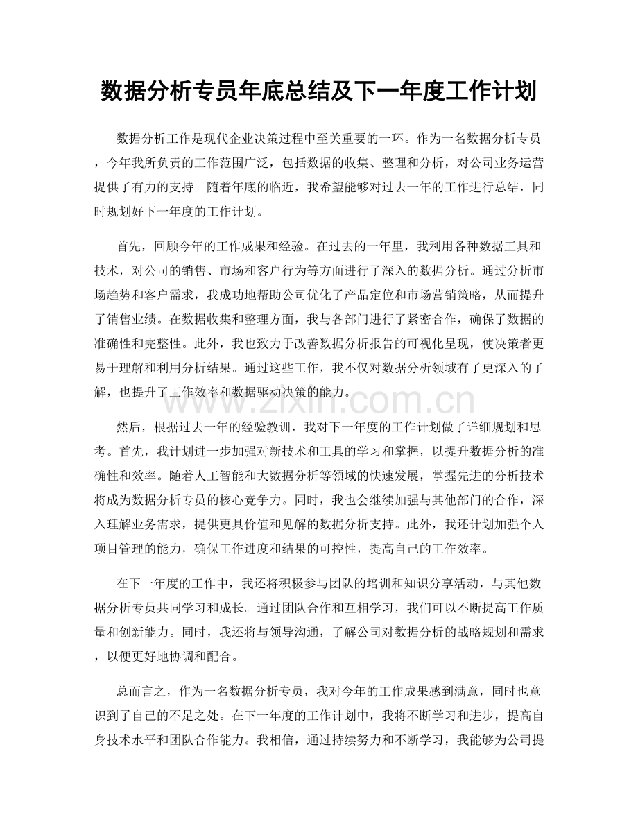 数据分析专员年底总结及下一年度工作计划.docx_第1页