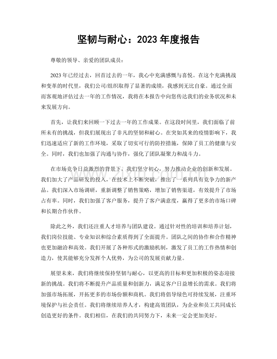 坚韧与耐心：2023年度报告.docx_第1页