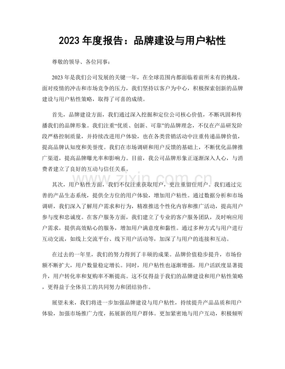 2023年度报告：品牌建设与用户粘性.docx_第1页