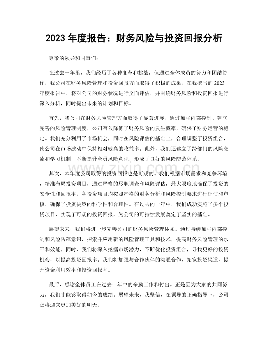 2023年度报告：财务风险与投资回报分析.docx_第1页