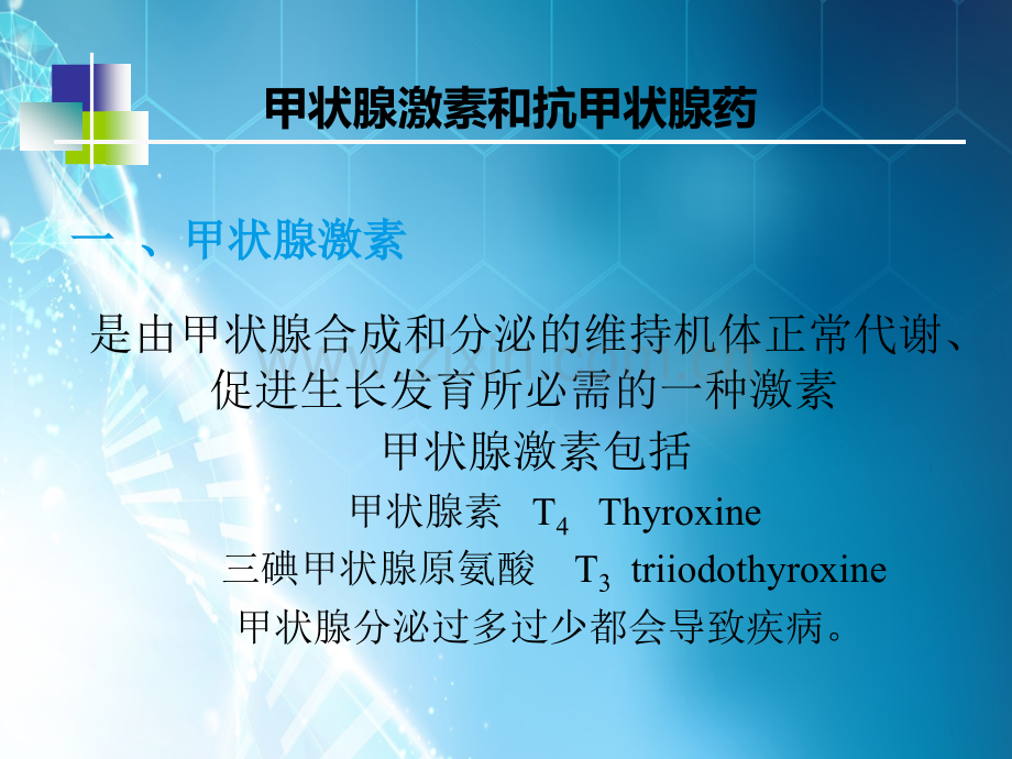 甲状腺及抗甲状腺药.ppt_第1页