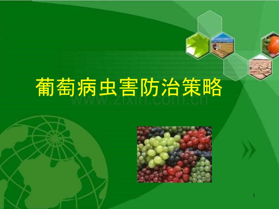 葡萄病虫害防治历.ppt_第1页