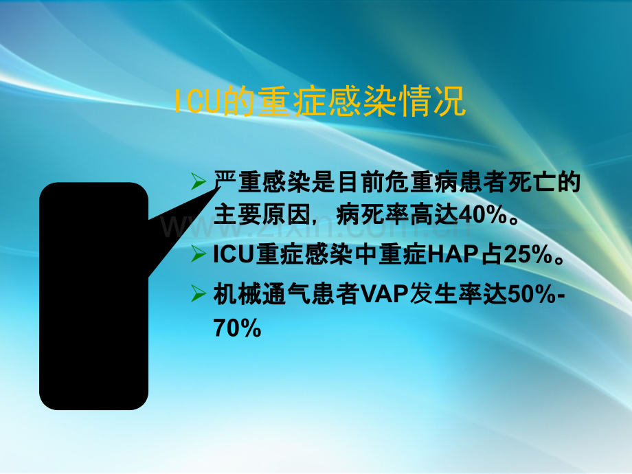 美罗培南在重症感染中的应用.ppt_第2页