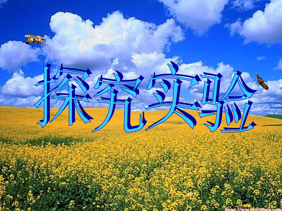 探究鼠妇的生活习性.ppt_第1页